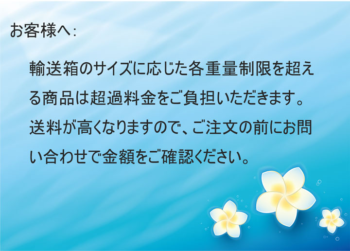 ろんじんしゃーれん 三鮮脱骨魚 さんせんだつこつぎょ 食物語